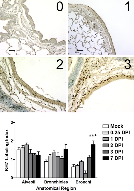 FIG 8