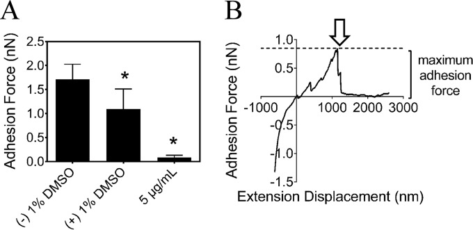 FIG 5