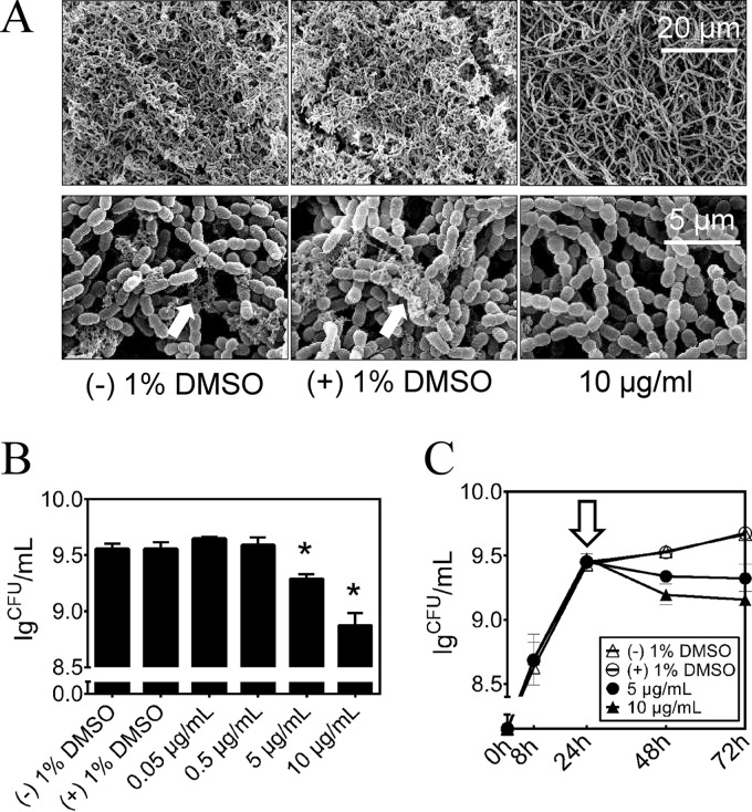 FIG 4