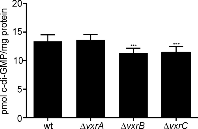 FIG 6