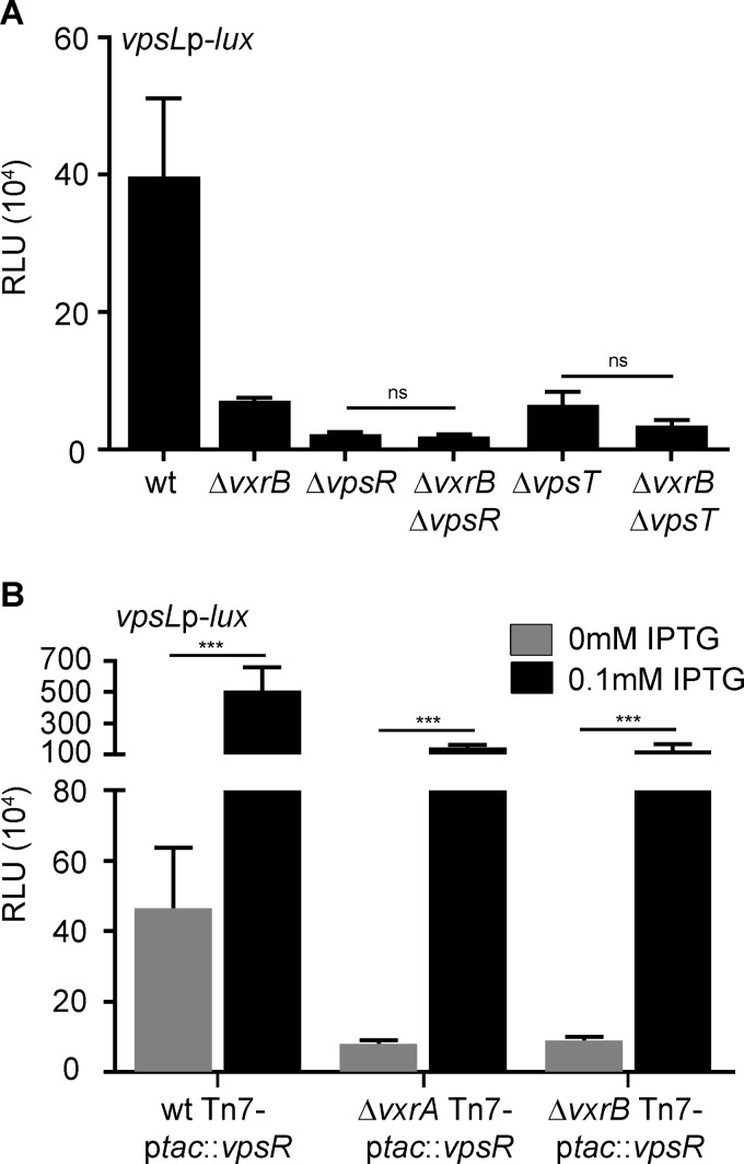 FIG 3