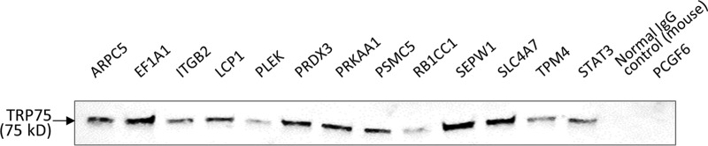 FIG 3 