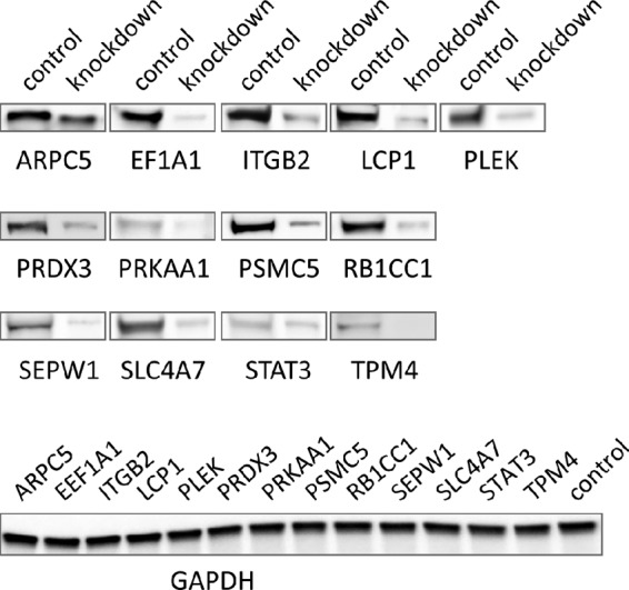 FIG 6 