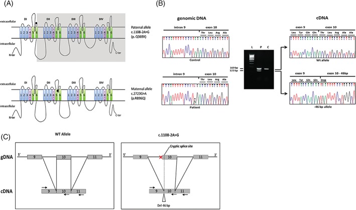 Figure 2