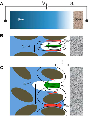 Figure 42