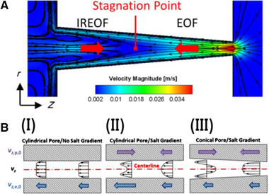 Figure 40