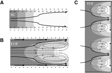 Figure 43