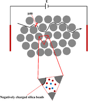 Figure 19