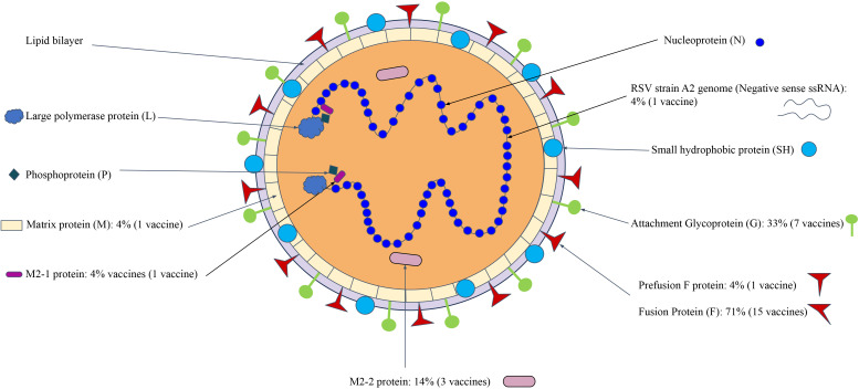 Figure 5
