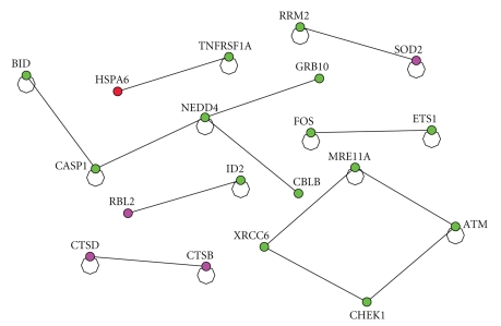 Figure 5