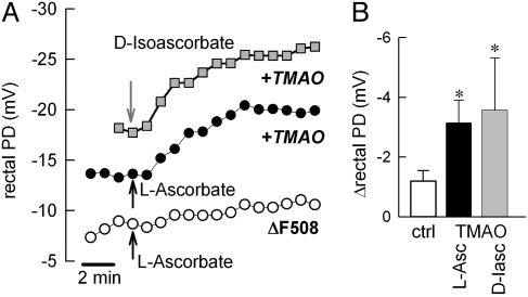 Fig. 5.