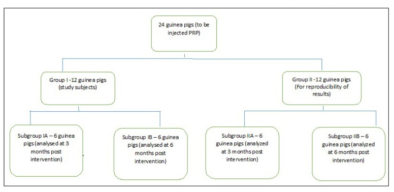 Flowchart 1