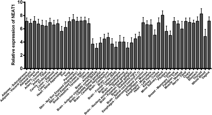 Figure 1