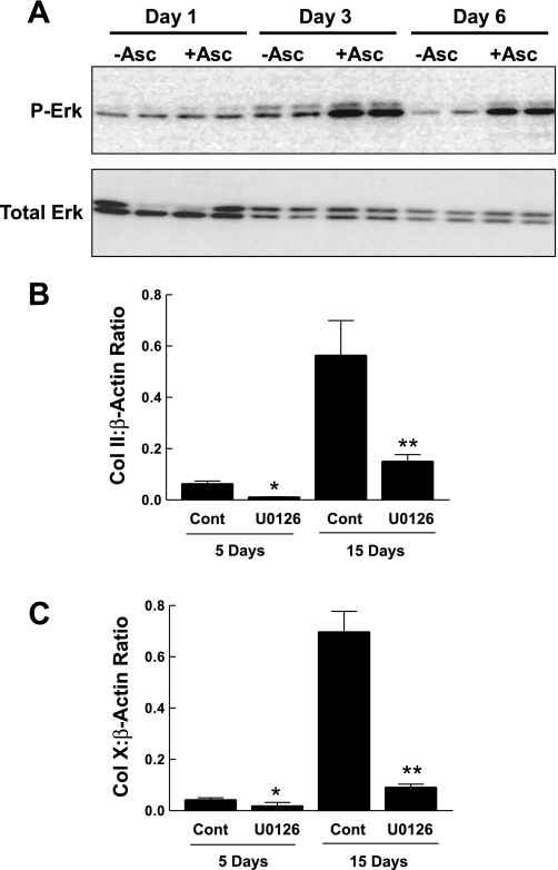 Fig. 9.