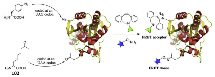 Figure 11