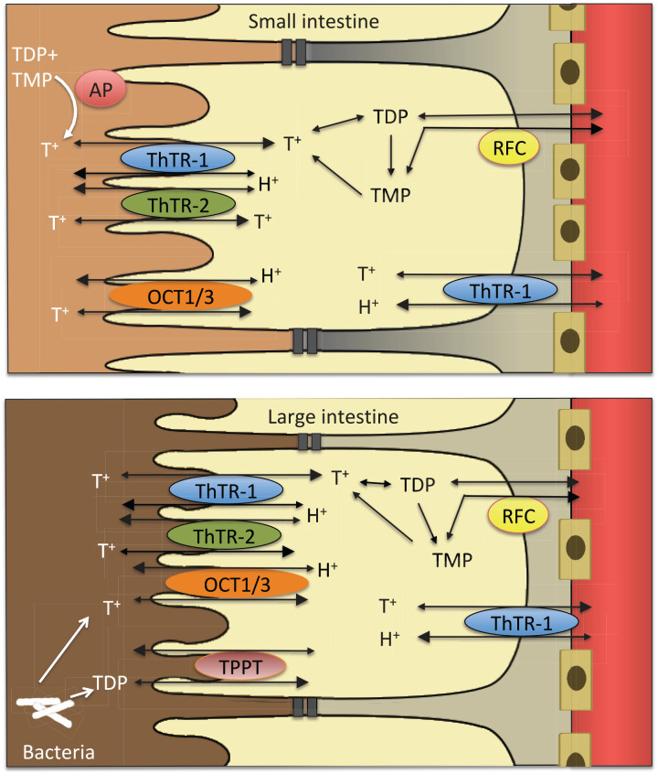 Figure 3.