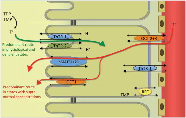 Figure 6.