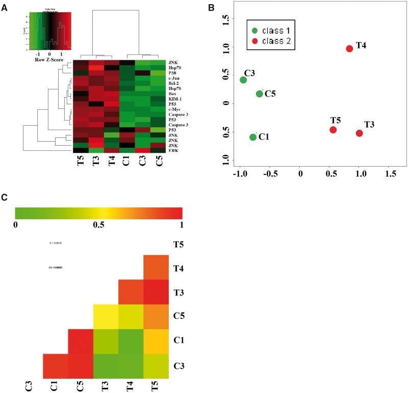 FIG. 3.