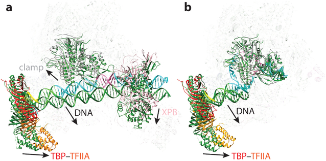 Figure 7