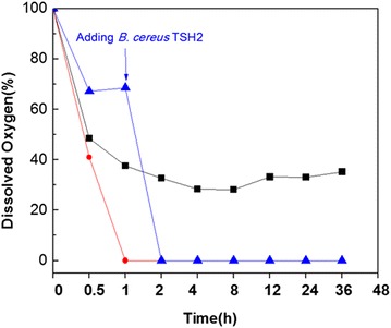 Fig. 2