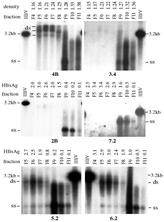 FIG. 6.