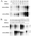 FIG. 5.