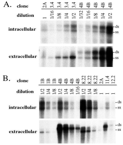 FIG. 5.