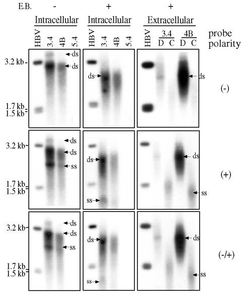 FIG. 7.