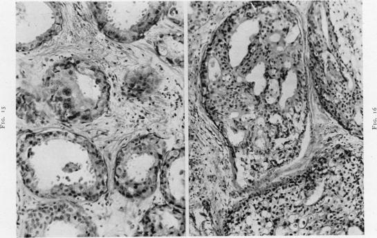 Fig. 17., Fig. 18.