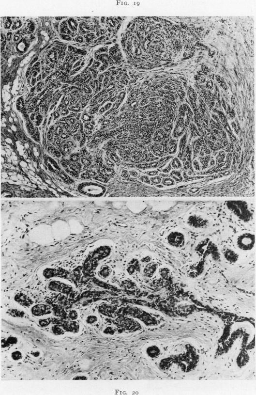 Fig. 19., Fig. 20.