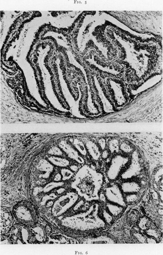 Fig. 5., Fig. 6.