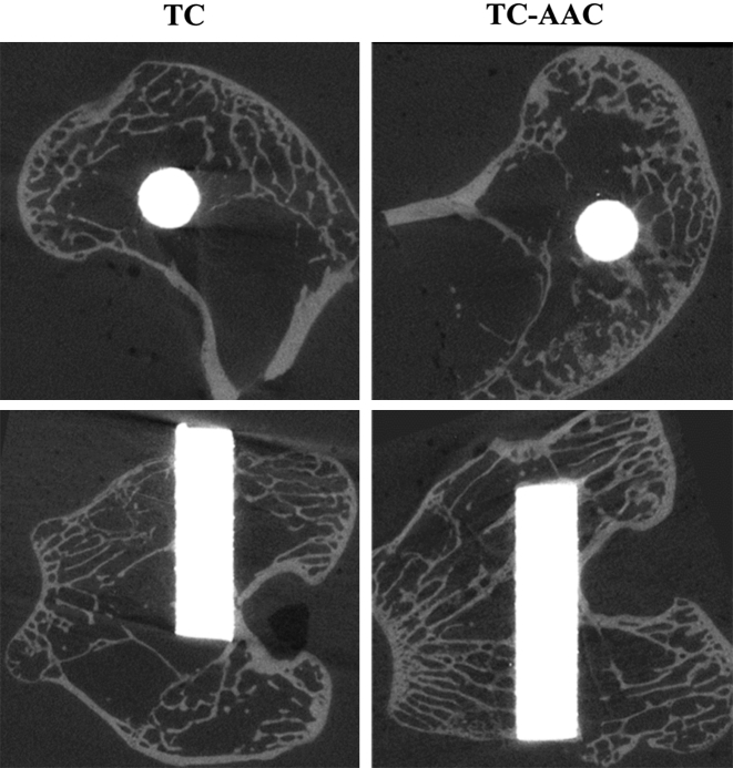 Figure 5