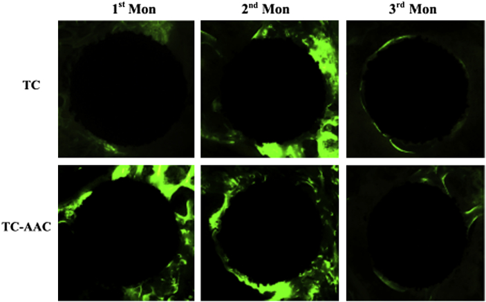 Figure 6