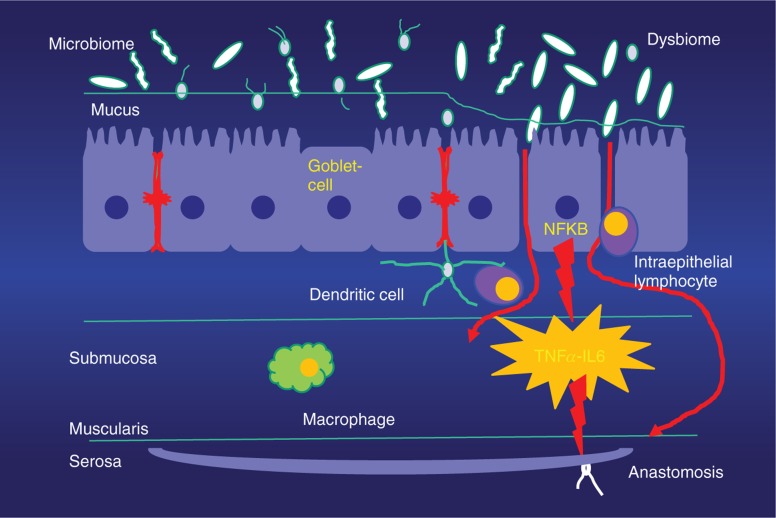 Figure 1: