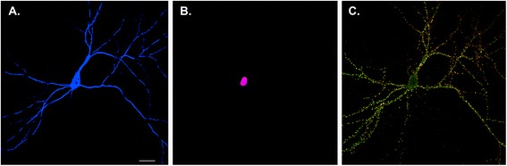 Fig. 2