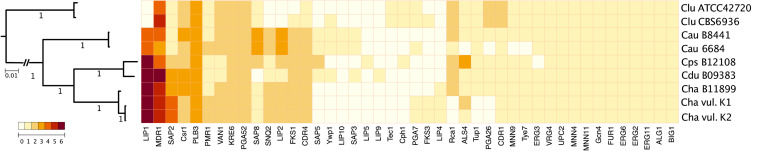 FIGURE 4