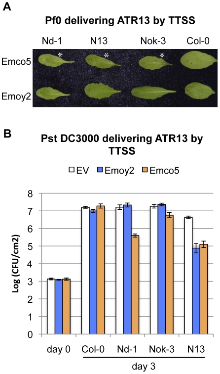 Figure 5