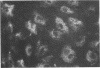 916