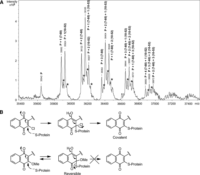 FIG. 8.