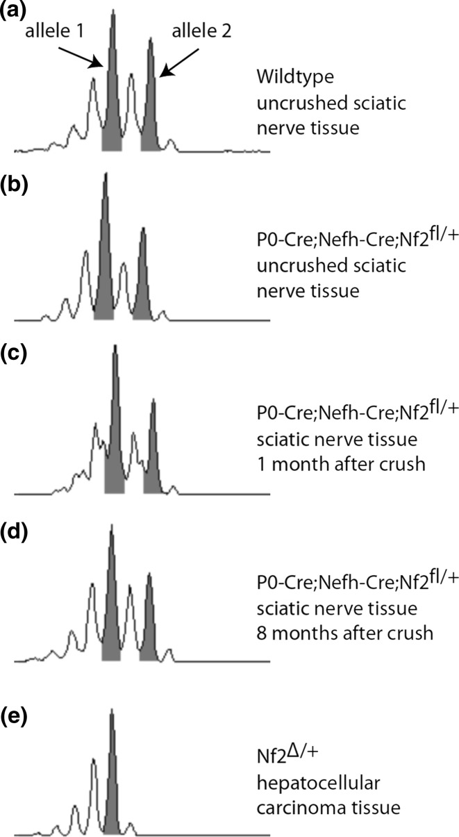 Fig. 6