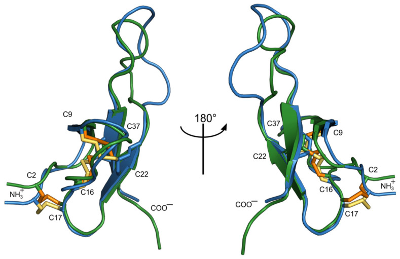 Figure 8