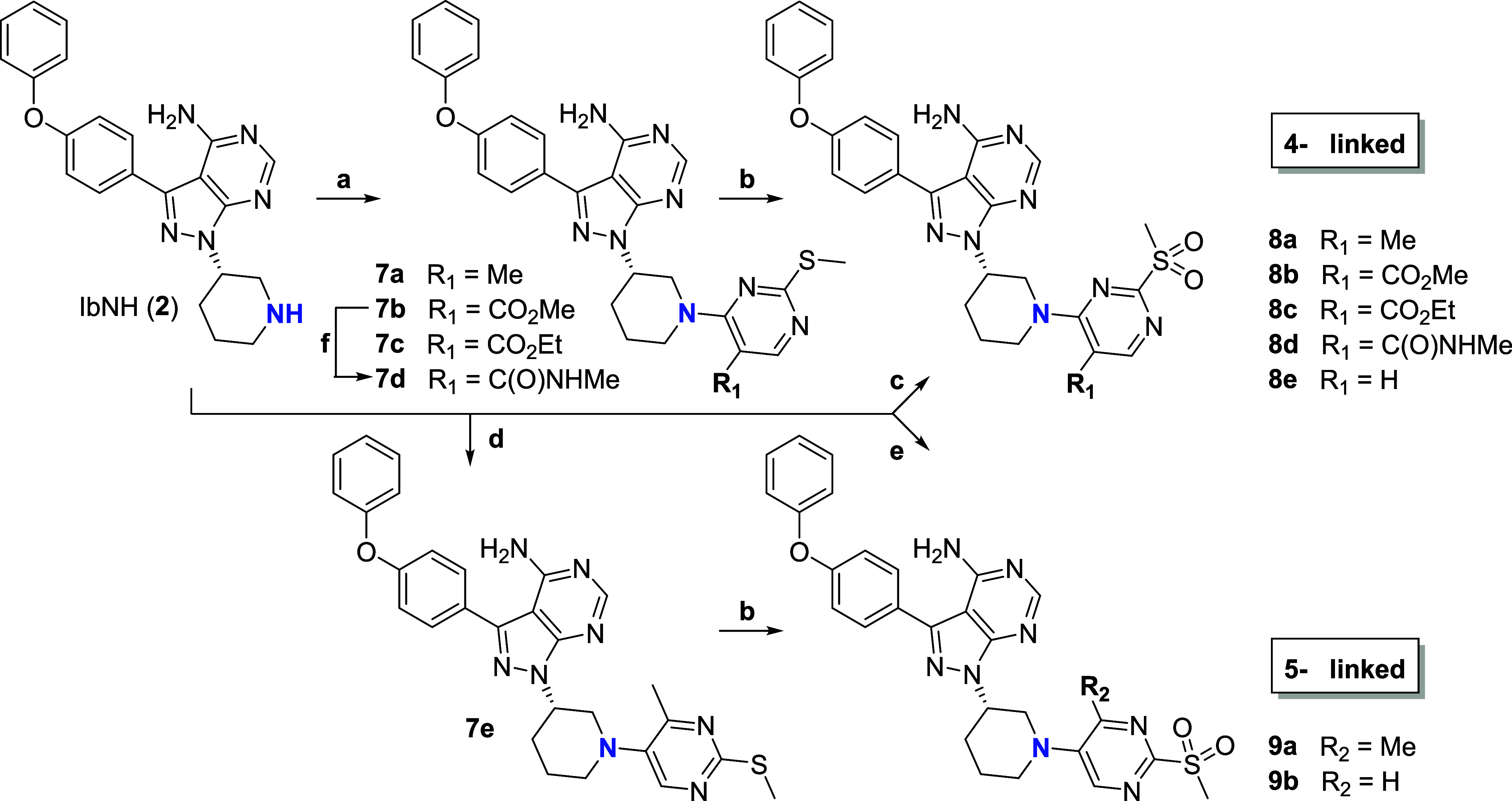 Scheme 2