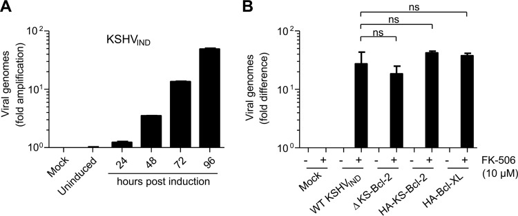 FIG 3