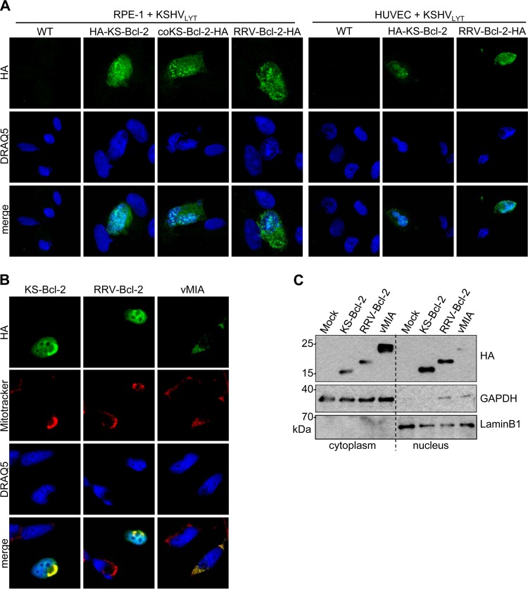 FIG 6