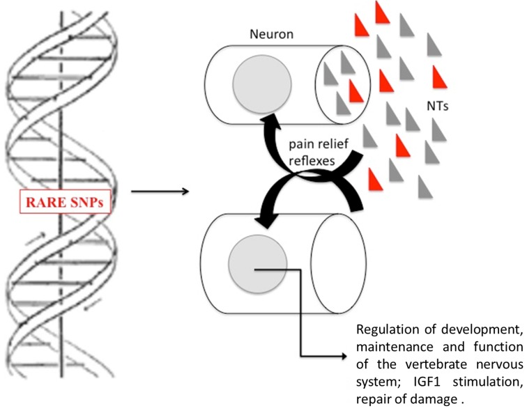 Figure 1.