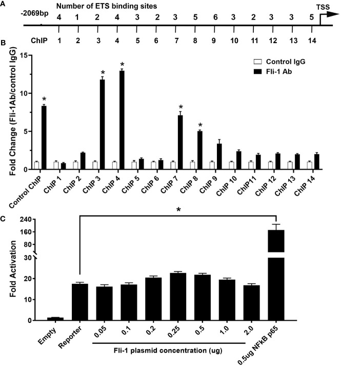 Figure 3