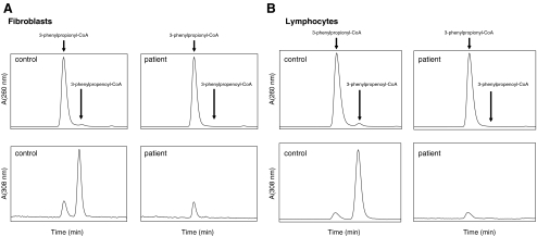 Fig. 6