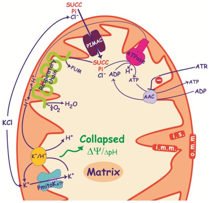 Figure 5.