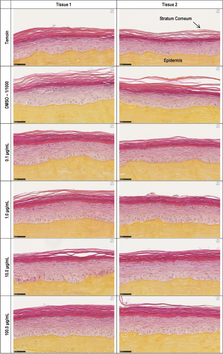 Fig 10