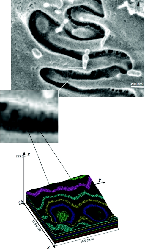 Figure 2.